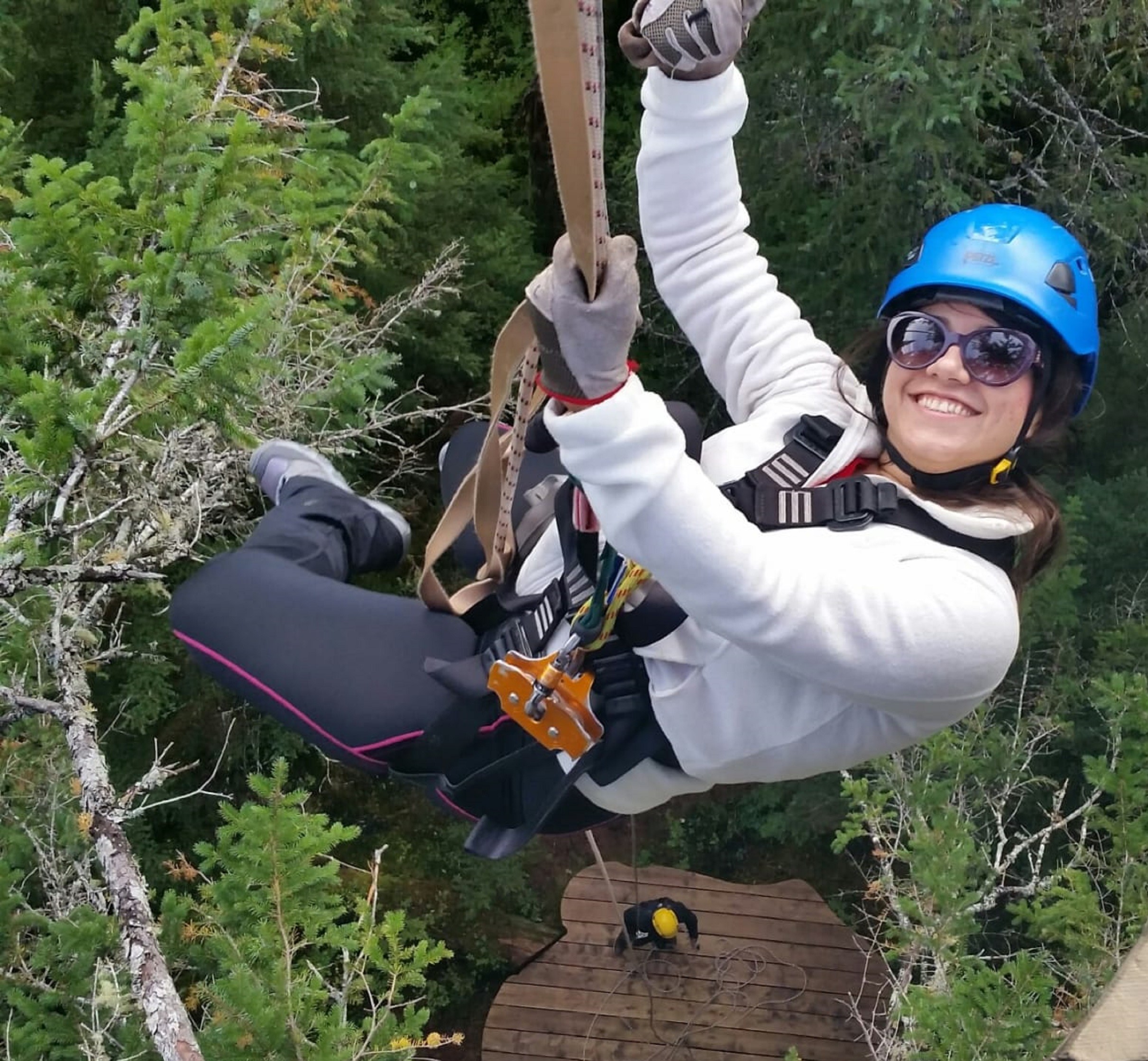 Talkeetna Zipline Tours | 9 Ziplines with Denali Views – DZT