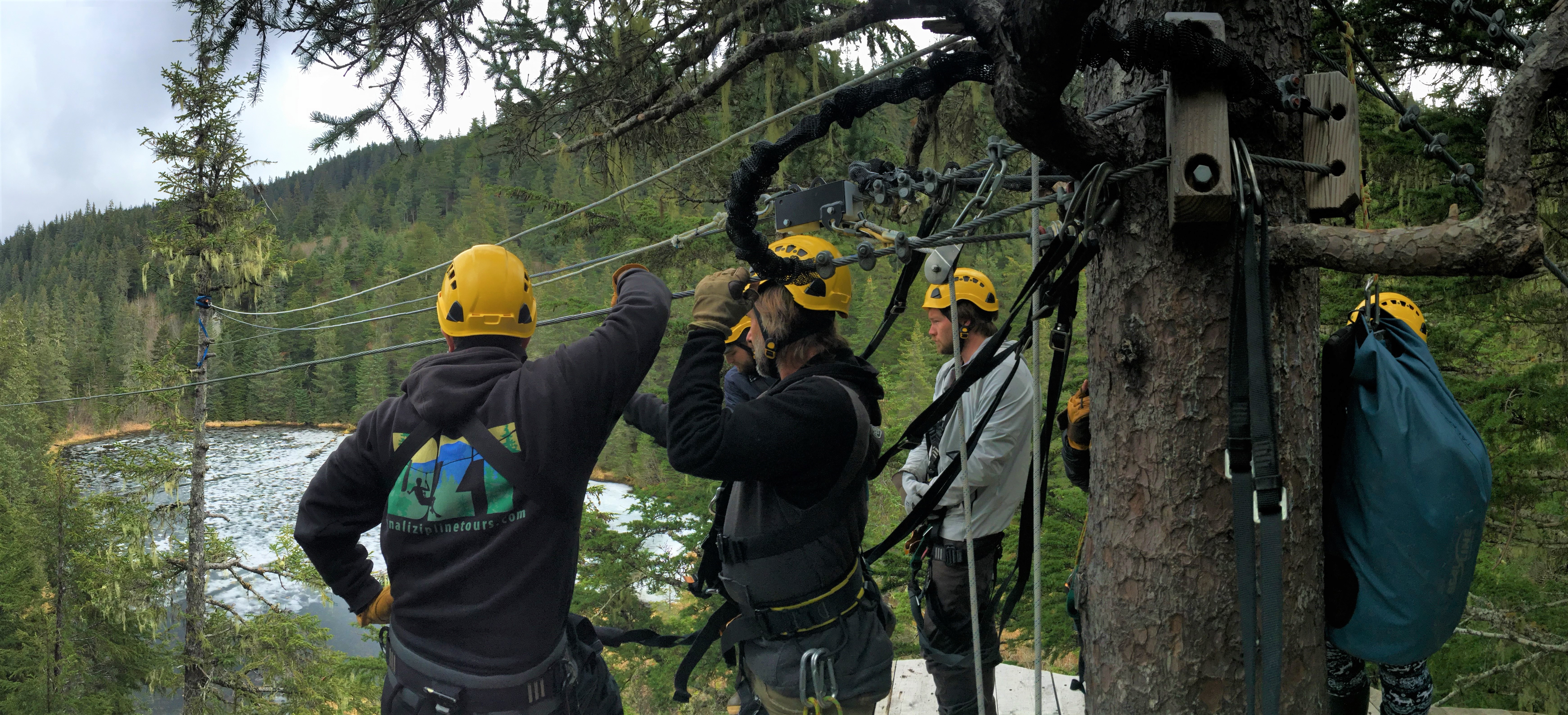 Talkeetna Zipline Tours | 9 Ziplines with Denali Views – DZT